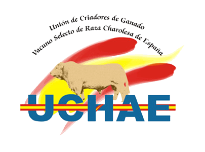 UCHAE UCHAE